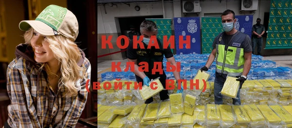 твердый Няндома