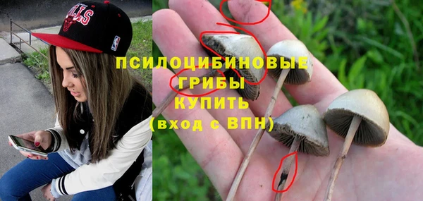 винт Алексин